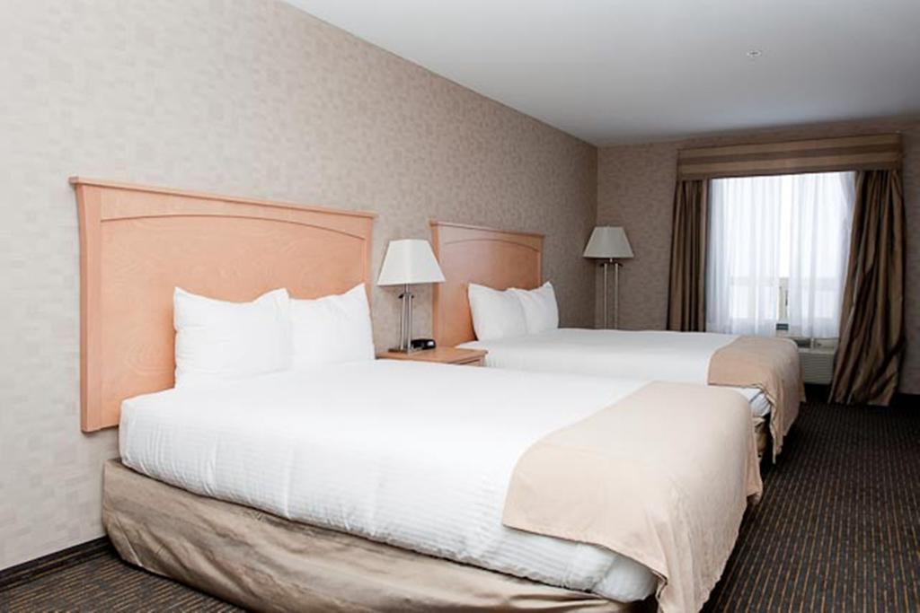 Paradise Inn And Suites Valleyview Номер фото
